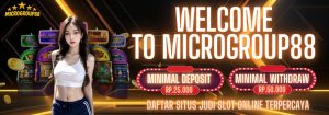 Read more about the article Daftar Situs Judi Slot Online Terpercaya Microgroup88