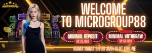Read more about the article Nama Nama Situs Judi Slot Online Terbaik MICROGROUP88